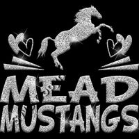 GLT88 SILVER GLITTER Thumbnail